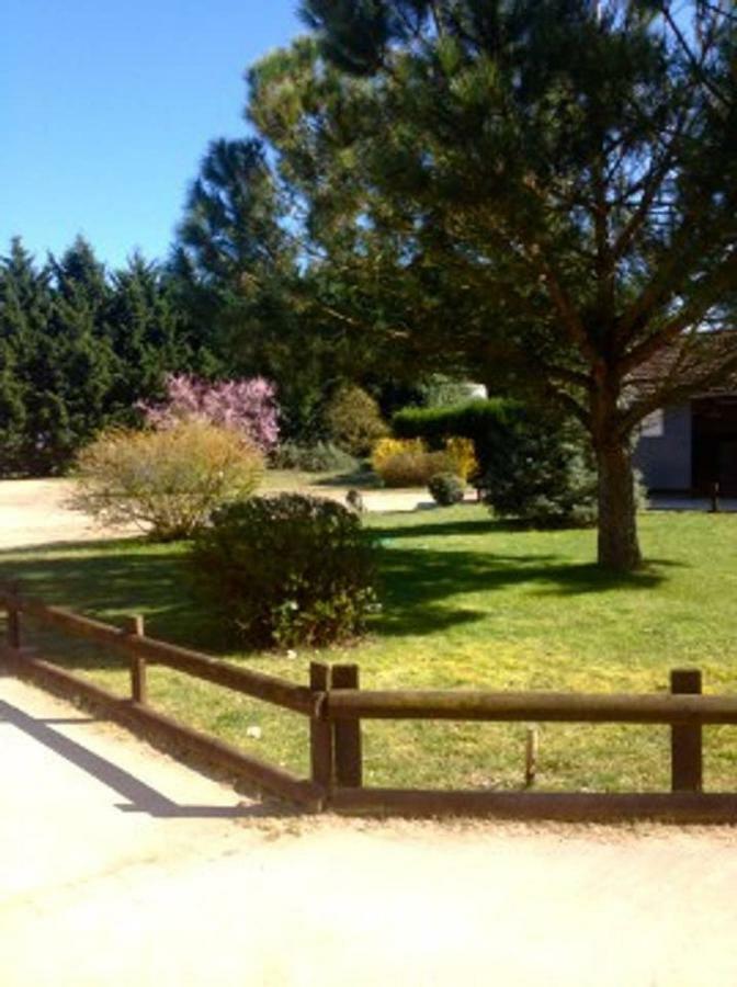 Gite Ecuries Vineuil Jump 6 Personnes Vineuil (Loir-et-Cher) Exterior photo